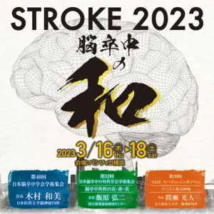 stroke2023